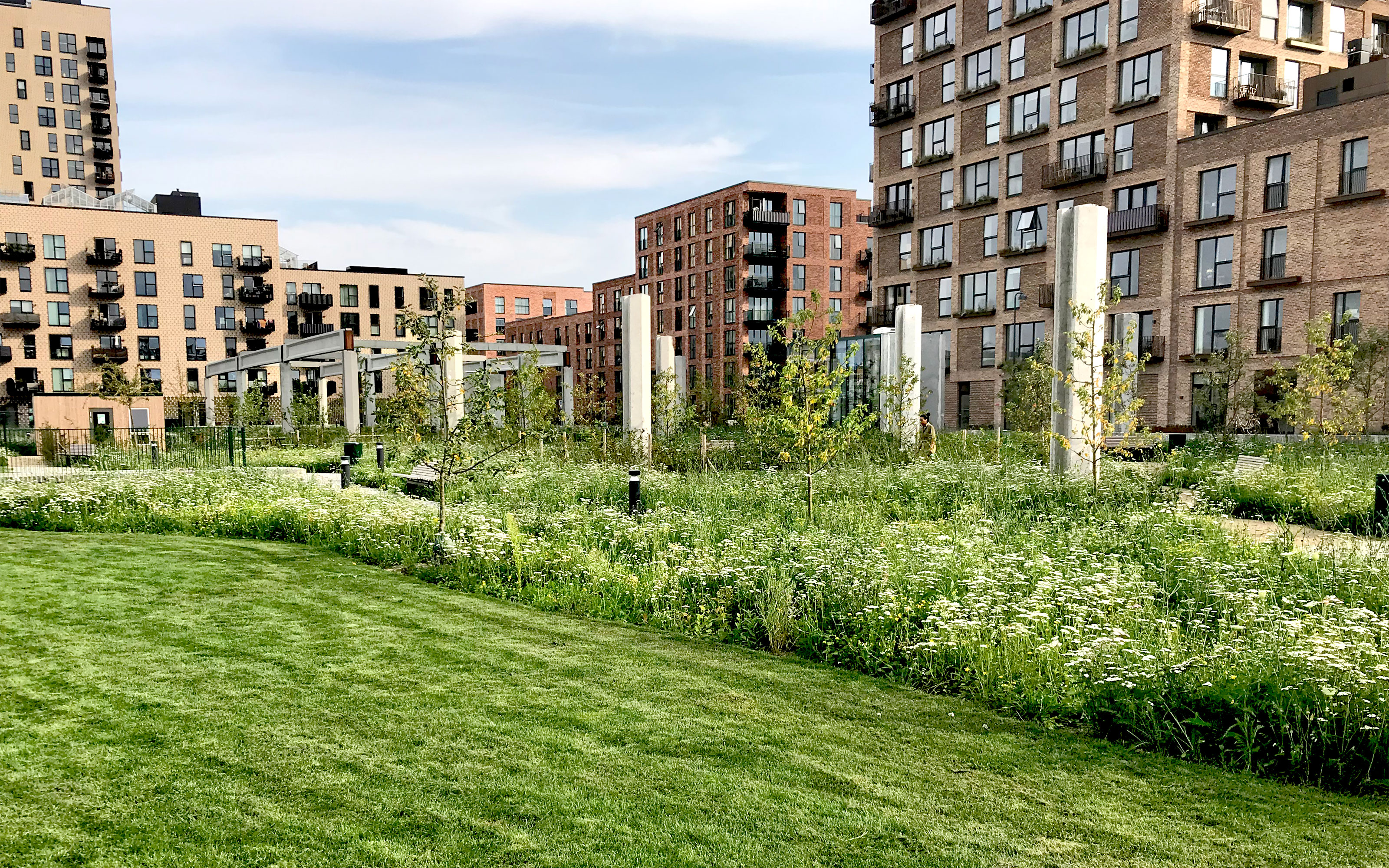 The lawn provides additional free space to play or have a picnic. Flowering and freshly mowed meadow